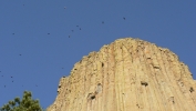 PICTURES/Devils Tower - Wyoming/t_Tower & Birds1.JPG